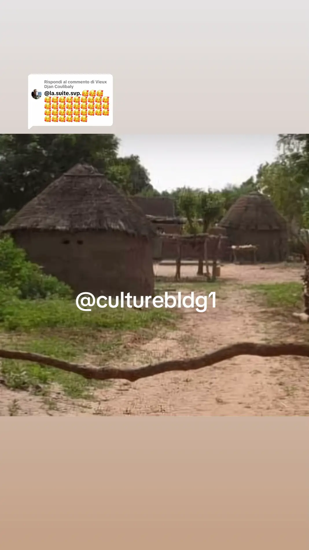 Risposta a @Vieux Djan Coulibaly vive la culture #culture #traduction #mali #karata #beledougoufierte 