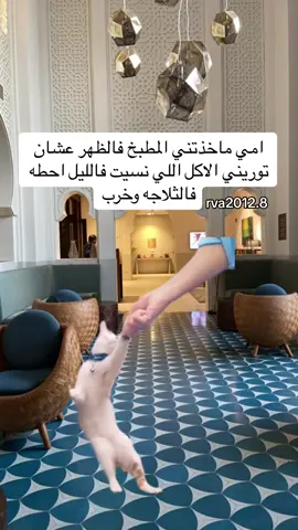 #في هذا اليوم 