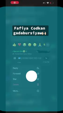 #y4063 #borama #saylac 