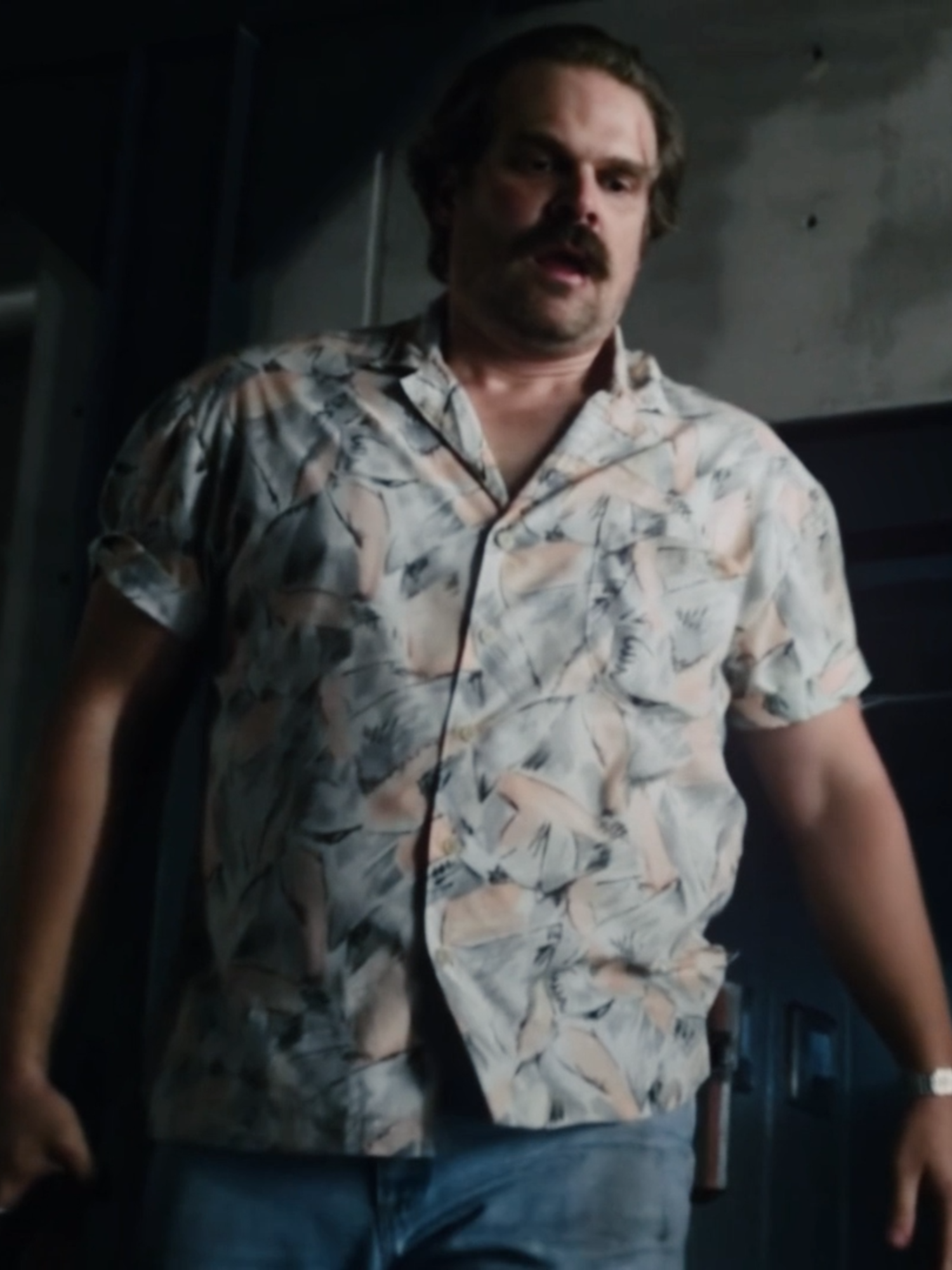 #hopper #jimhopper #strangerthings #davidharbour