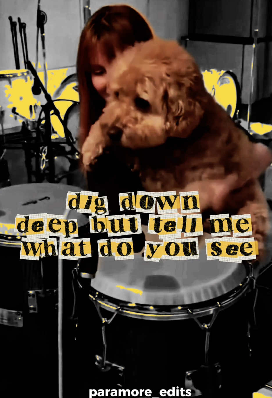 Showbiz lyrics - Hayley Williams ❤️ hi I’m back :<) #hayleywilliams #EGO #showbiz #showbizlyrics #paramoreedits 