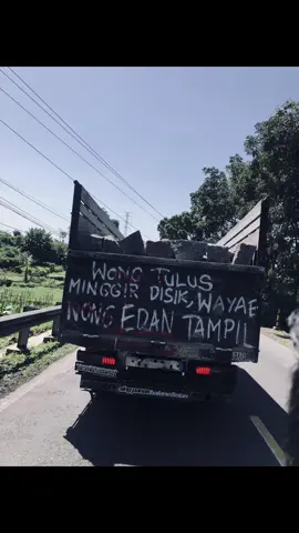 🤙🏻#wongatos #foryou 