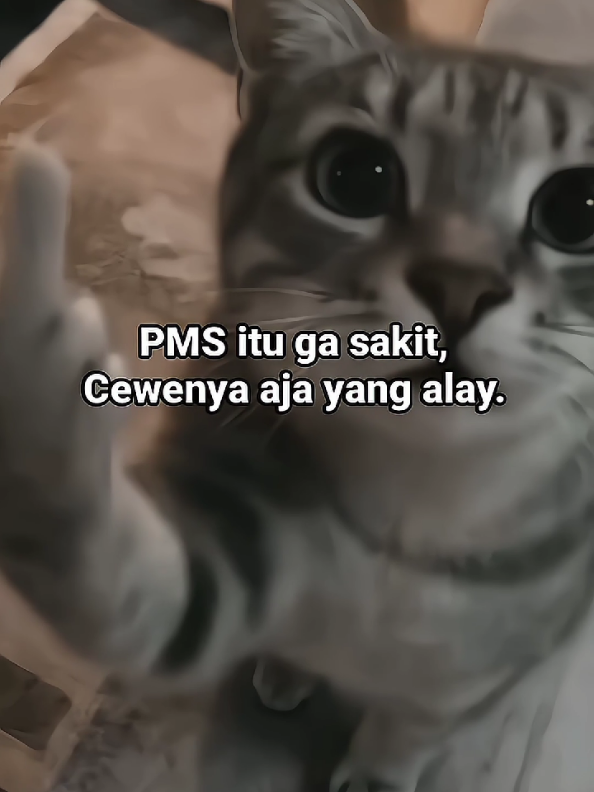 tag singa kesayangan kalian🗿💐😍#random #storywa #katakata #creatorsearchinsight #4u 