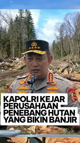 Kalo memang terbukti, harus diusut tuntas sampai seakar akar nya, dan siapa saja yang terlibat 💪👍 #bravo #usuttuntas #beritaviral #jagahutan #prayforsumatera 