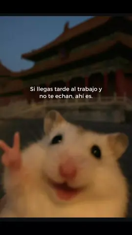 🙂 #2025  #viralditiktok 