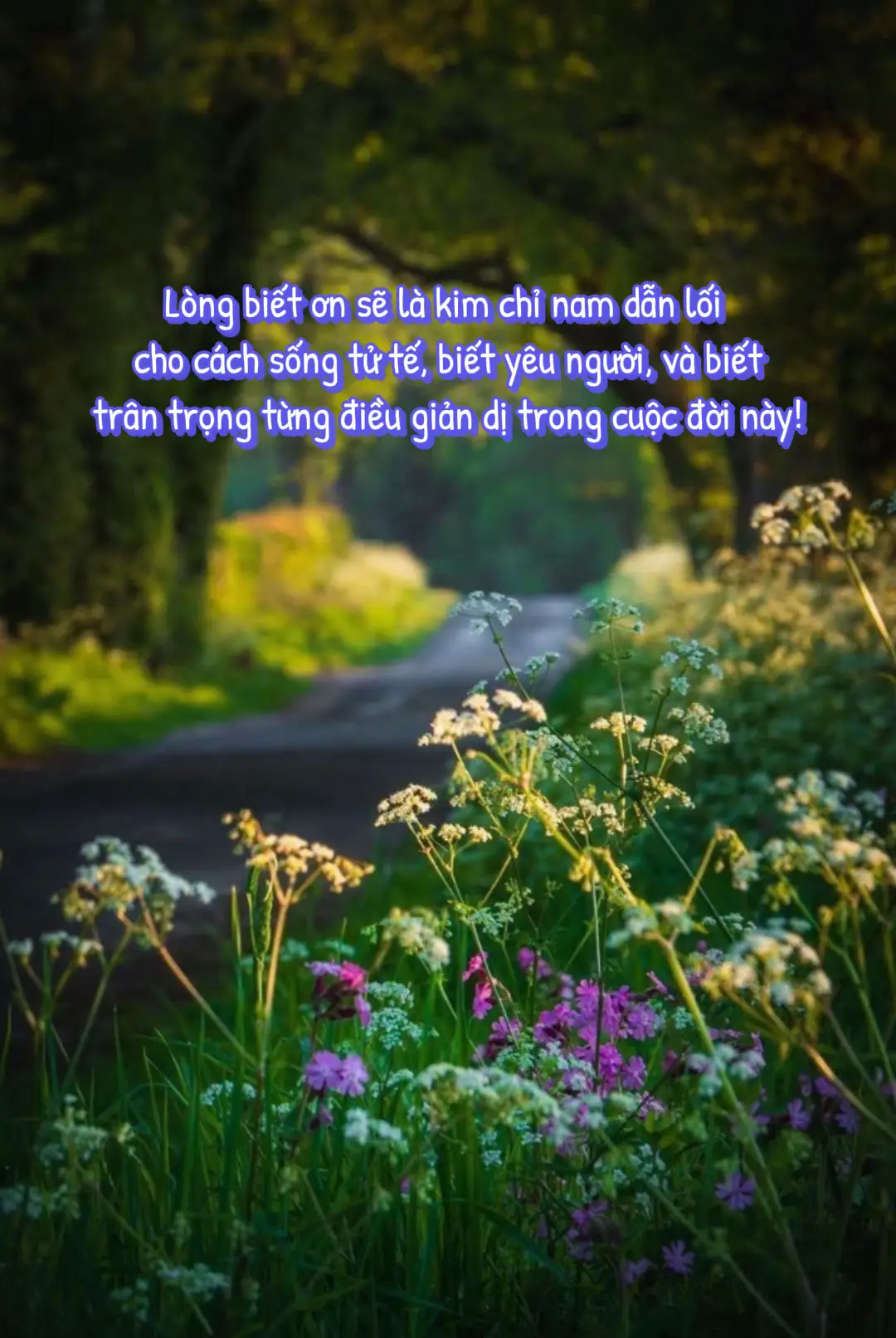 …..      Một đứa trẻ biết ơn – sẽ luôn khiêm nhường trong thành công và mạnh mẽ trong thất bại.       Chúng sẽ cảm động khi ai đó giúp mình, và cũng không quên chìa tay ra giúp lại người khác.       Chúng sẽ không lớn lên với ý niệm “mọi thứ phải là của tôi”, mà sẽ học được cách nói lời cảm ơn – từ tận đáy lòng – mỗi khi nhận được điều gì đó, dù là nhỏ nhất.       Lòng biết ơn không phải là kỹ năng để học. Nó là thái độ sống. Là nhân cách. Là cái gốc để làm người.       Nếu bạn thật sự thương con, đừng chỉ hỏi: “Con muốn gì?” Mà hãy hỏi: “Hôm nay, con đã biết ơn điều gì?”       Một đứa trẻ biết ơn… Sẽ không cần Cha Mẹ đi bên cạnh cả đời.       Bởi chính lòng biết ơn sẽ là kim chỉ nam dẫn lối cho chúng biết sống tử tế, biết yêu người, và biết trân trọng từng điều giản dị trong cuộc đời này.       Vì con không chỉ cần lớn – Con cần học cách làm người! ….. #cuocsong #tamtrang_camxuc 