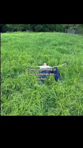 🌷✨️#Goldenbrown #fypツ #tiktokponmeenparati 