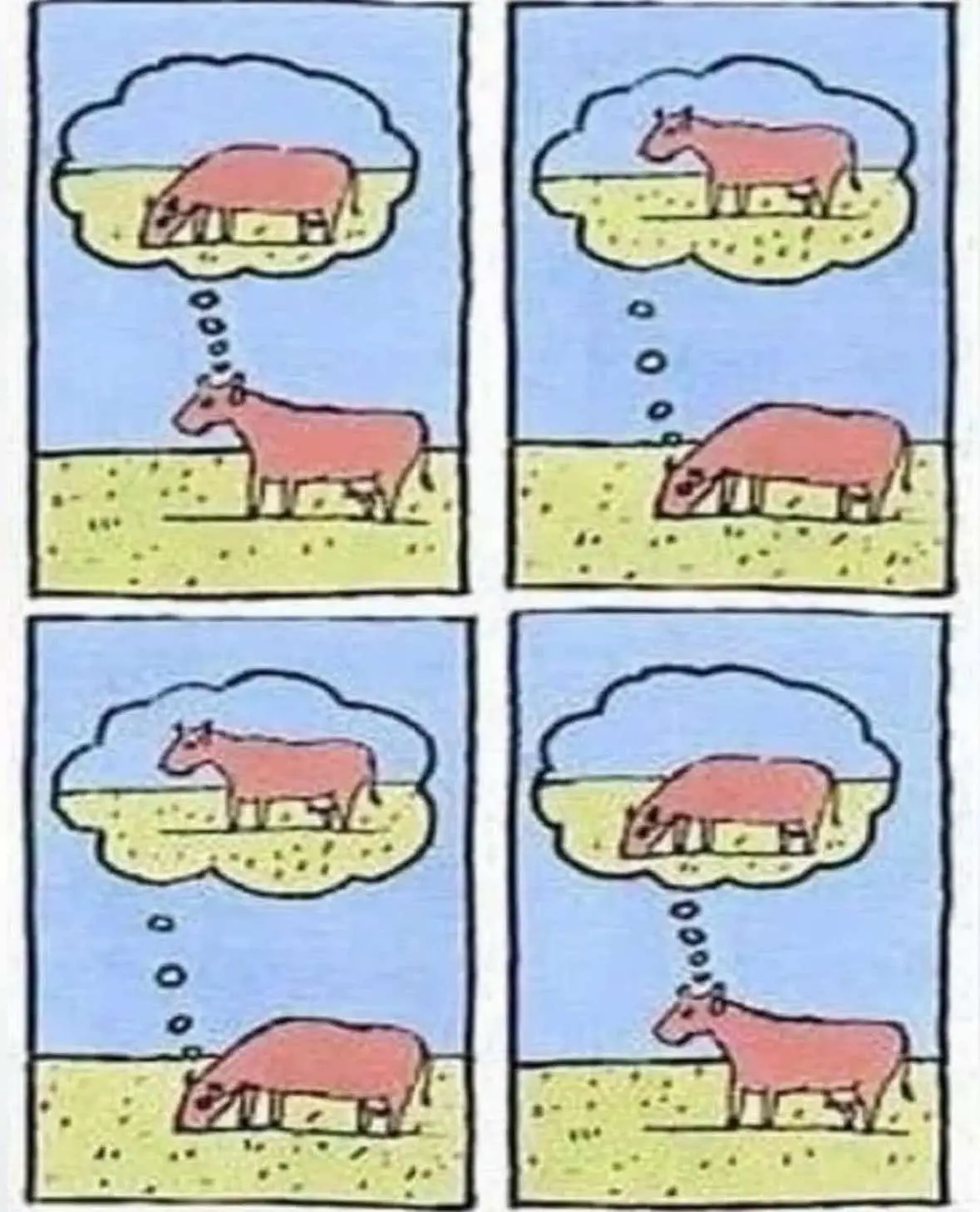 ifykyk #bro #viral #esoteric #fyp #algorithmtiktok 