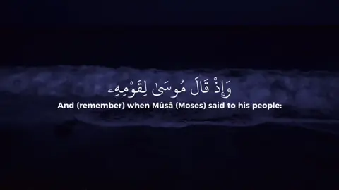 Surah Al Baqarah 54-57 | Reciter: @￶  #muslim #islam #quran #reminder #deen 