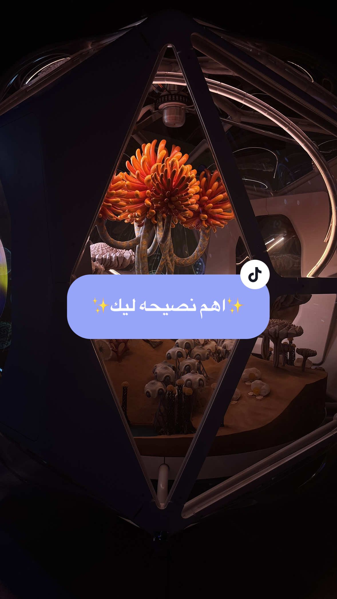 رحلتي من المعصيه للتوبه الجزء ال١٠♥️ . . . . . . . . . . . . . . . . . . . . . . . . #الاء_البرقي #توبه #نصيحه #fyp #اكسبلور 