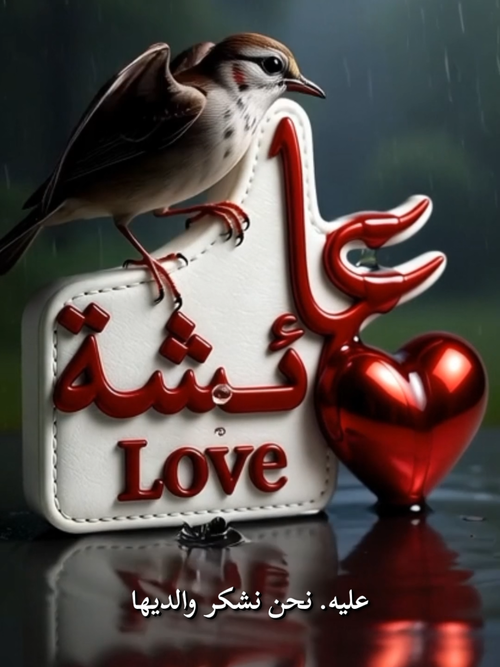 شعر باسم (عائشة) #عائشة #شعر #مدح #عبارات #خواطر 