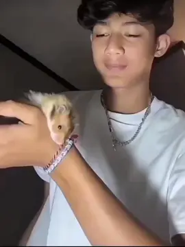 hamster nya lucu ga kalah lucu sama orgnya 🤍🫰@فيصل #isal #isalgwsm #affanfaisal #kusumawaraoffiocial👹😻 #nerimafblb✅ #fyp 