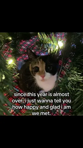 #fyp #post #awh #cute 