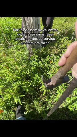 Fale isso n 😂😂🥲#trabalhopai #paitrão #ferias