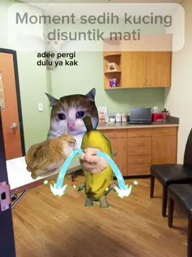 😭😭🥀 #memekucing #kucingsedih #foryoupage❤️❤️ #pecintakucing #fyppppppppppppppppppppppp 