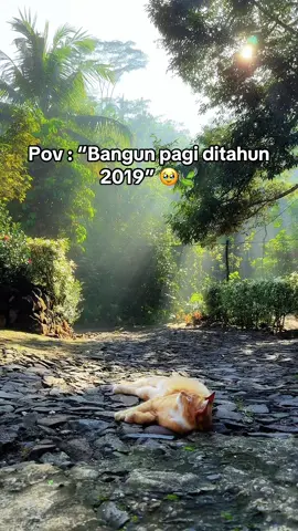 bayangkan kalian bangun masih di tahun 2019 🥹🍃#fyp #lightzshot 