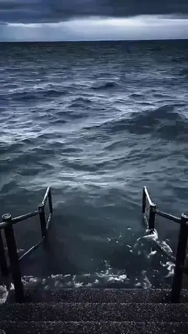 #meme #videohaihuoc #funny #xuhuong #viral 