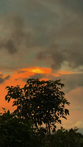 Pesan-pesan’mu hari ini >>