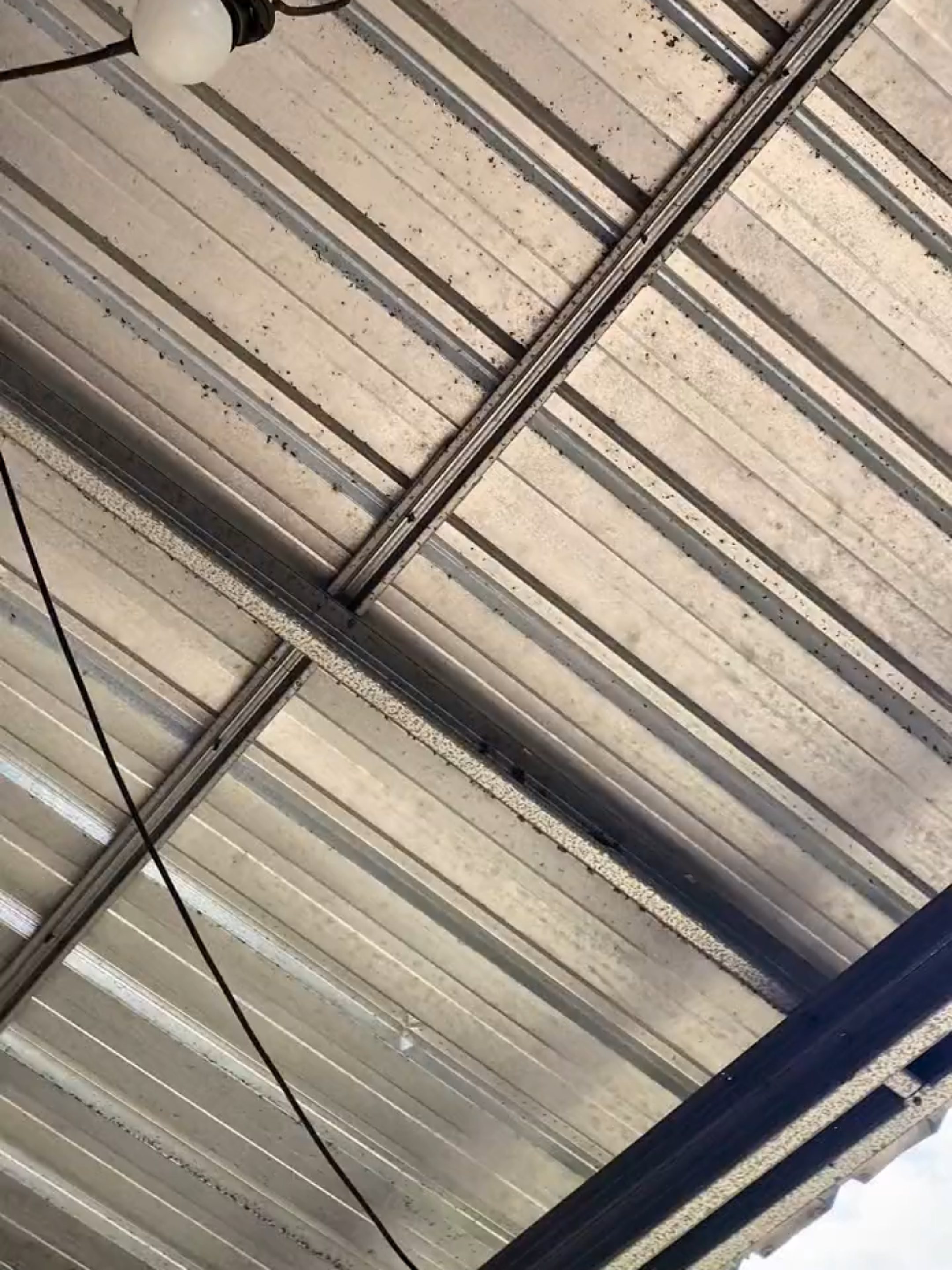 Natural footage tanpa colorgrading By iPhone 11 basic 4K 60fps Microsoft edge x capcut pro #Microsoftedge #Iphone11 #aufanz #Fyp #mentahan