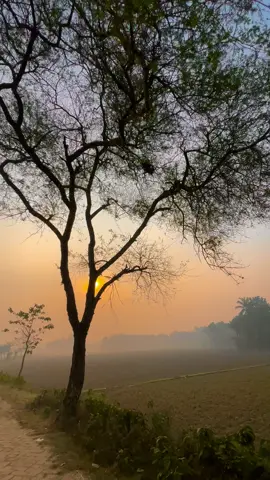 আমরা কখনোই ভাগ্যের কাছে হারি না! 😌🫶 #viral #fyp #natural #foryoupage 