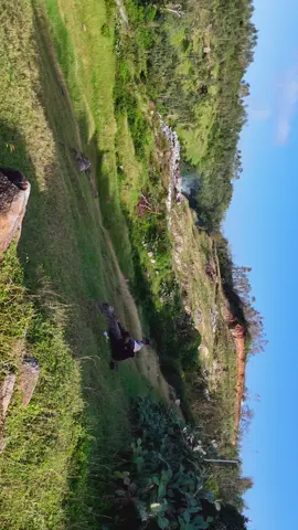 Tháng này đi Đồi cỏ Thạch có khi Quên về nhà ăn cơm luôn..