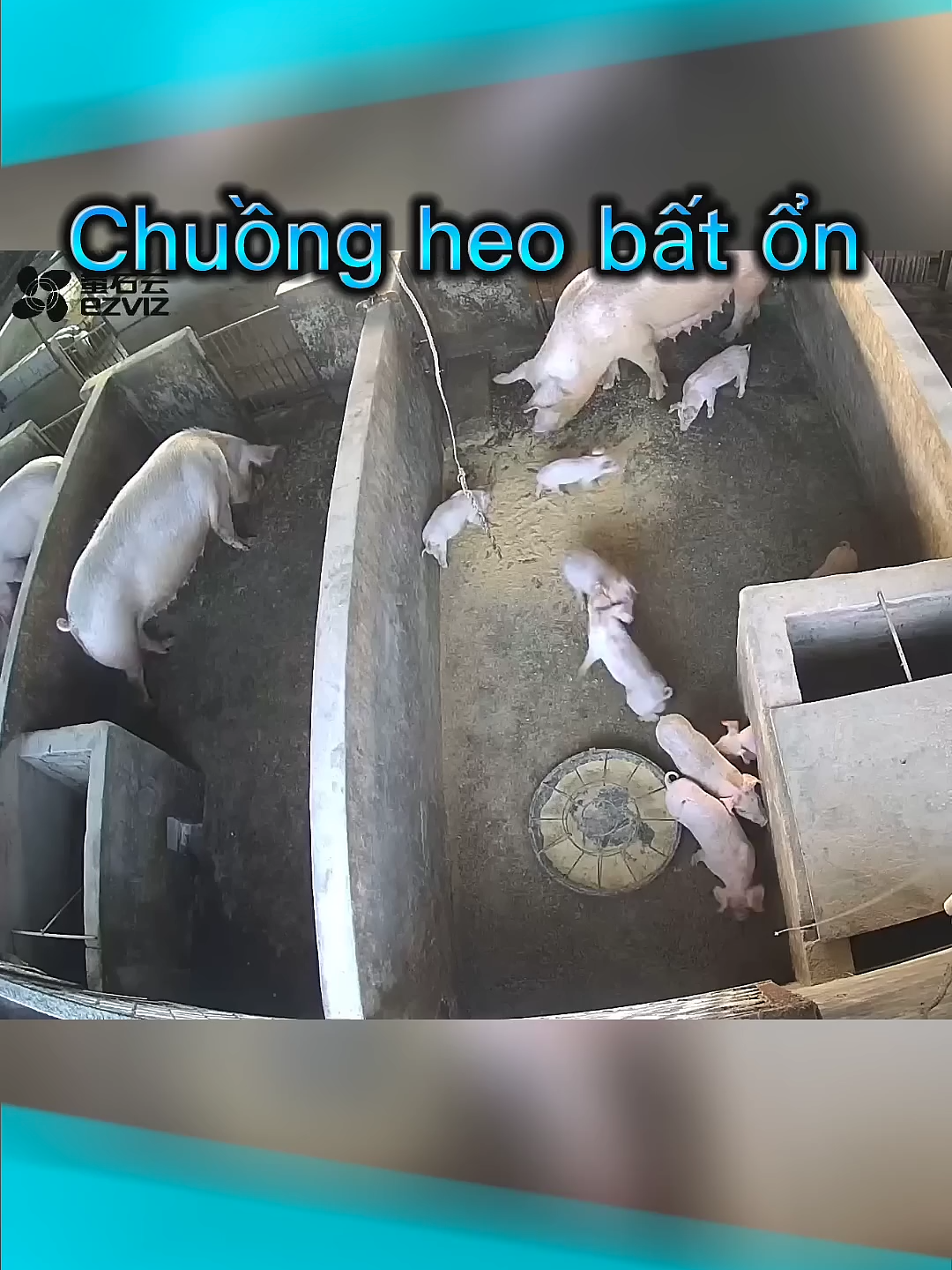 Không nhờn với mẹ được 😌 #laonap