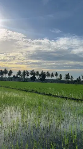 🤷🏻‍♂️#damz #damar_elltecno #damar_elltecno #tecnofansindonesia #tecnopova7ultra @TECNO Sulawesi @TECNO Indonesia Store 