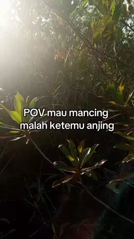 tebak ending#fypagetiktok #kalimantan #mancingmania #bismillahfyp #lewatberandafypシ 