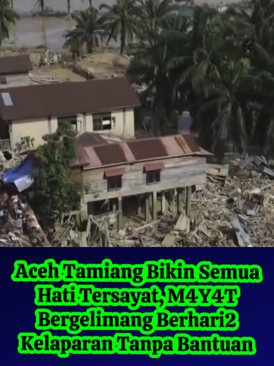 HANCUR SEMUA HATI MELIHAT ACEH TAMIANG, LANGSA. M4Y4T-M4YAT BERGELIMPANGAN, ADA YANG MASIH DI DALAM MOBIL YANG TERSERET, DAN BELUM DIEVAKUASI. 9 HARI MEREKA TERISOLASI TANPA PANGAN DAN BANTUAN PEMERINTAH. MEREKA KEDINGINAN, KELAPARAN, KEHAUSAN, NELANSAGA YA ALLAH😭😭😭 SERIBUAN NYAWA HANYA DEMI BISNIS KAYU KE ASING? APA YG AKAN KALIAN SAMPAIKAN DI HADAPAN TUHAN DI AKHIRAT?  @prabowo  @zul.hasan  @rajaantoni @bahlillahadalia @haniffaisolnurofiq @erickthohir  #Tamiang #aceh #bencana #banjiracehtamiang  Sc: Berbagai sumber istimewa