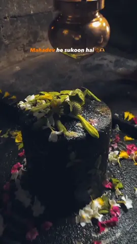 #harharmahadev🙏🙏 