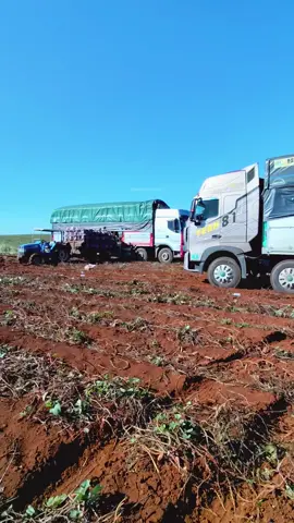 chút sóng gió ngại gì @Lâm Nguyễn 