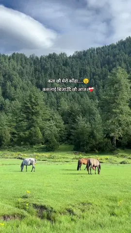 kata xau mero fool💐