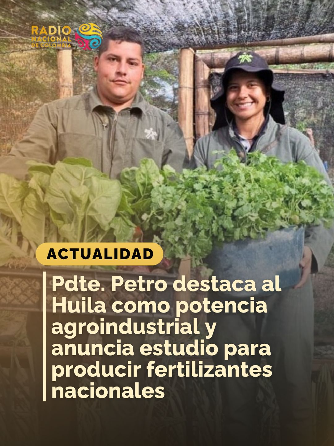 #ParquesConMemoria 🇨🇴 | El presidente Gustavo Petro resaltó que la inflación continúa bajando frente al año anterior, con una caída especialmente marcada en los precios de los alimentos. Aseguró que este avance está ligado al impulso agroindustrial del Huila, hoy una potencia en producción agrícola y de alimentos. “El mayor beneficio ha sido la reducción en los costos de insumos agropecuarios”, señaló. El mandatario también anunció que el departamento cuenta con recursos mineros aptos para producir fertilizantes y que ya avanza un estudio conjunto con la Nación para fabricar fosfatos en Colombia, incluso con subsidios si es necesario.
