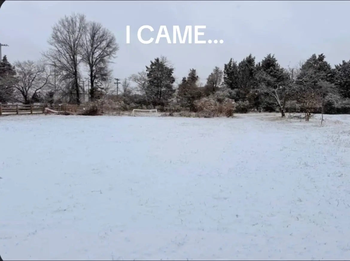 @︎ ︎Pedrocastro #fyp#blowthisup #viral #foryou #snow