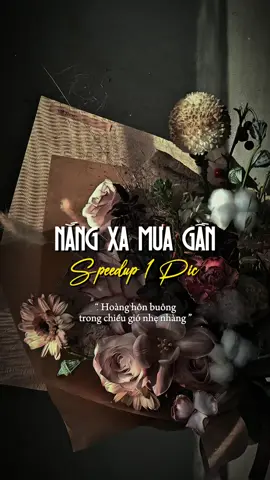 Dù thân anh như đoá phù du xác xơ.. #chang92_ #capcut #capcutpioneer #pioneertemplate #nangxamuagan @𝙲𝚑𝚊𝚗𝚐. @𝙎𝙖𝙙_🖤 