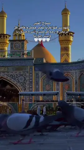 #صباحكم_أحلى_صباح #اللهم_صل_وسلم_على_نبينا_محمد #صباحكم_سعادة_لاتنتهي #يالله_ياكريم #العراقيه 