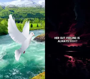 #duet with @CourtneyElizabeth0143 #CapCut 