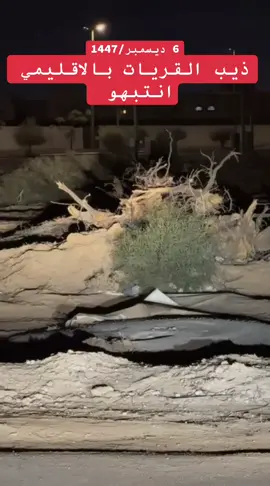 #القريات #ذيب #انتباه_للجميع #ص_الشراري 