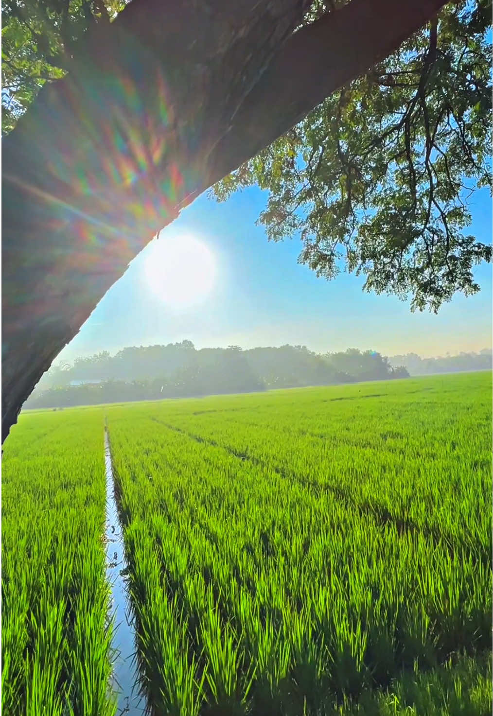 Karawang pagi ini #karawangbarat #karawang #karangmulya #telukjambe 