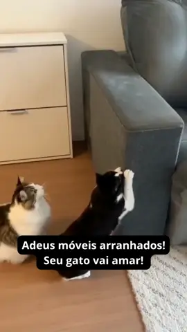 Carpete adesivo arranhador para gatos. Protege sofás e móveis, alivia estresse e mantém seu gato sempre entretido! 🐈😻 ID: CEY-WFR-WBF #gatos #pet #arranhador 