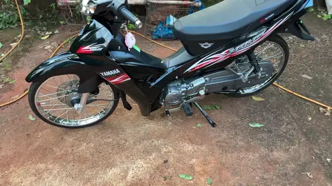 tết đến dau rui ae#siriusblack #y11zr #siriuskieng #xhtiktok #td 