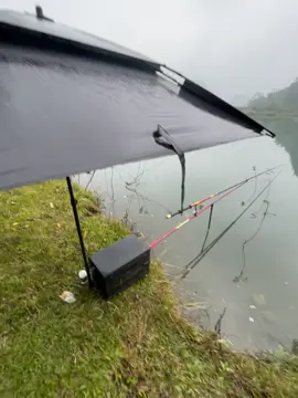 xin chỉ giáo cách đánh mè hồ tự nhiên #câutunhien #tânky🇻🇳 #nghệan37 #câucá #câucagiaitri 