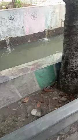 air laut meluap  #jakarta #banjir #banjirrob #airrob #jakartautara 