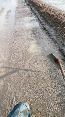 #xuhuongtiktok #cauhai #65cantho #