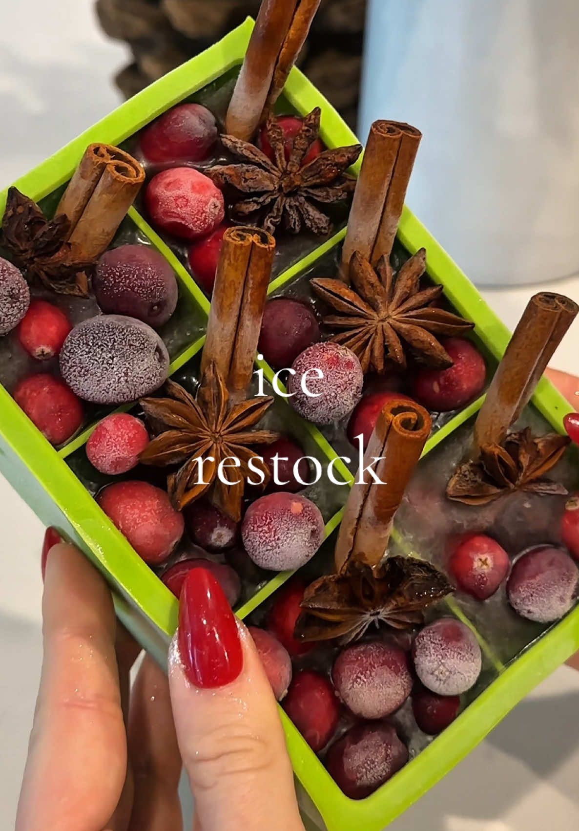 ‘Tis the season for ice restock🧊✨🤍❄️ #restock #organized #organizedhome #cozyvibes 