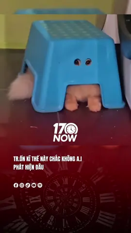 Tr.ốn kĩ thế này chắc không ai phát hiện đâu #17network #17now 