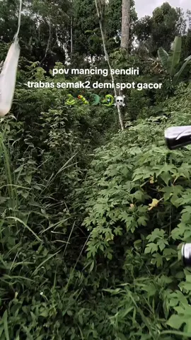 udah effort eh tetep aja boncos wkwkwk #sisisungai #mancingliar #mancingmania #castingfishing🎣 #castinghampala 