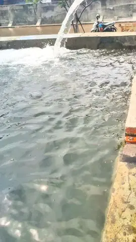 ngeri air laut 😮❗ #banjirrobjakarta