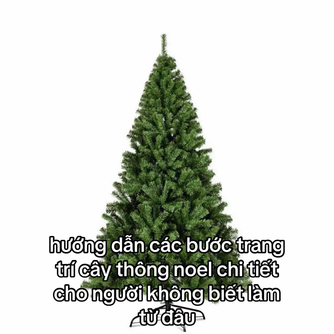 #abcxyz #fyp #xh #viralvideo #caythongnoel 