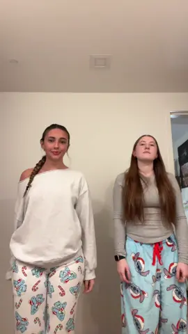 merry christmas friends 